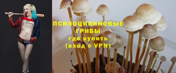 гидропоника Алексин