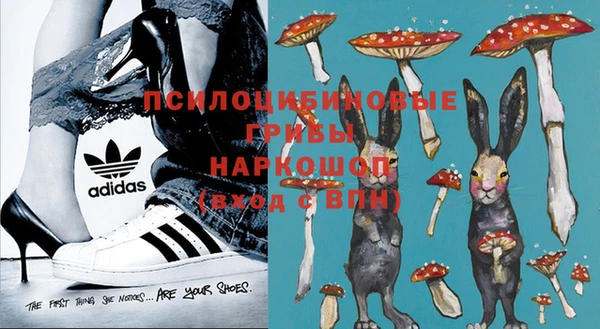 шишки Алексеевка
