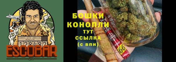 шишки Алексеевка